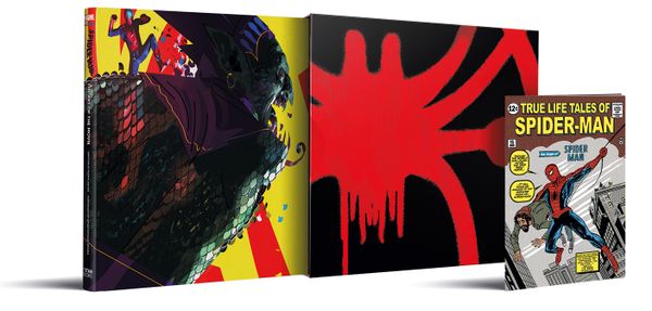 Spider Man Into The Spider Verse The Art Of The Movie Limited Edition Titan Books